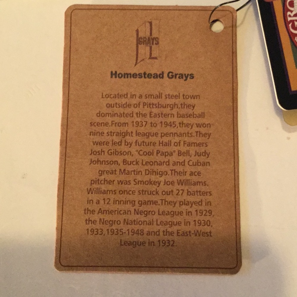 Pittsburgh’s Homestead Grays Baseball Sweatsuit - Picture 5 of 5